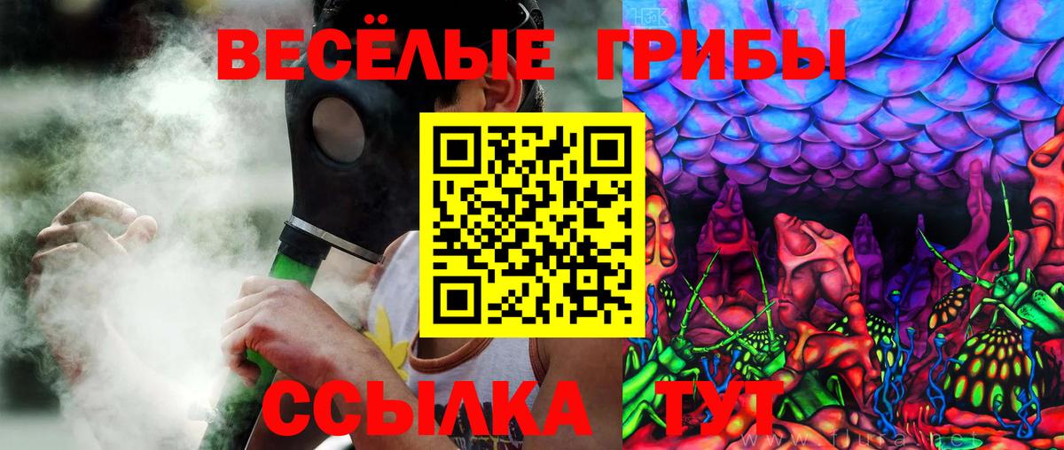 Галлюциногенные грибы Magic Shrooms Тавда