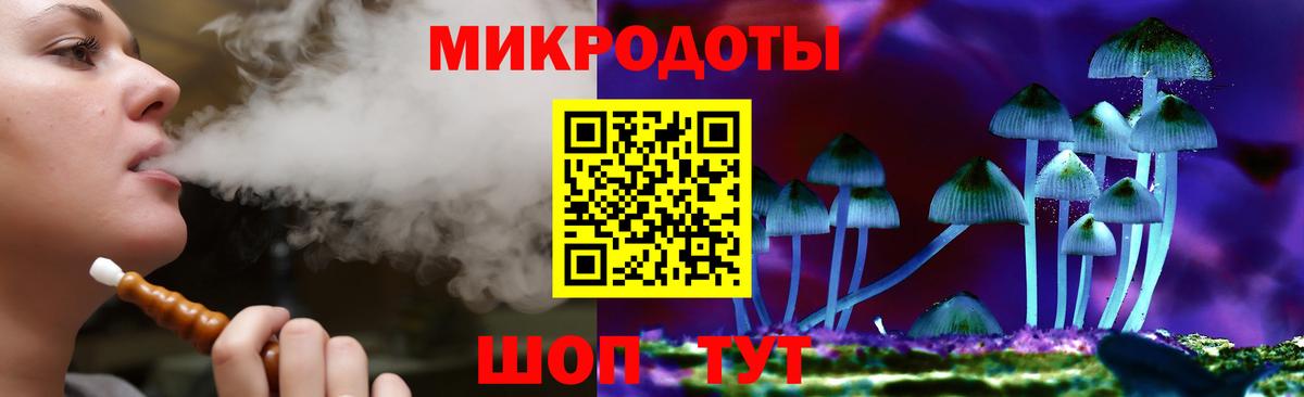 Тавда  Галлюциногенные грибы Psilocybine cubensis  Вход с VPN 